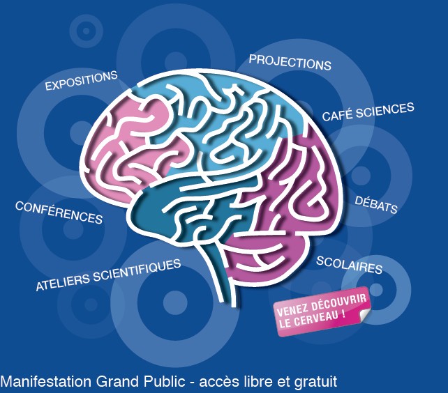 La Semaine du Cerveau est ouverte à tous du 11 au 17mars 2013 !
