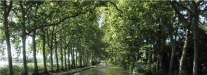 tourisme slow avec les canalous canal du midi