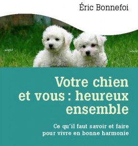 votre chien et vous